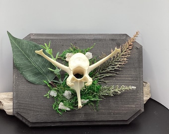 Real ethically sourced deer vertebrae mounted -bone mount A3
