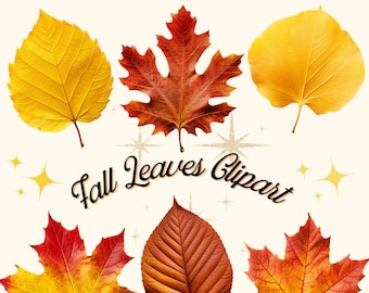 Fall Leaves Clipart 50 PNGs | Autumn Leaves Clipart | Autumn Fall Leaves | Fall Clipart | Junk Journal | Digital Download | Printable