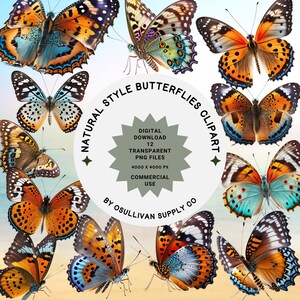 Natural Butterfly Clipart PNG Set 12 Clip Art | Commercial Use | Colorful Butterflies | Butterfly Clipart PNG | Butterfly Illustrations