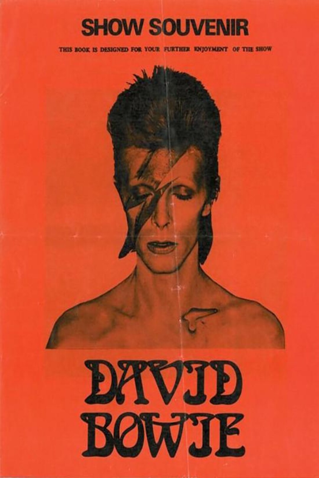 David Bowie 24x36 Poster - Rock Legend Bold Art Print Glam Music Icon ...