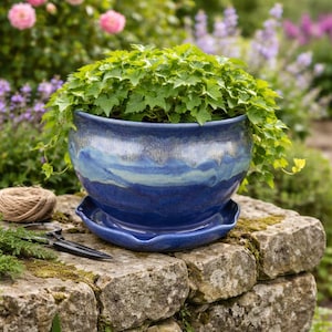 Pode incluir: Um vaso redondo de cerâmica vidrada em tons de azul profundo e azul claro, com um prato a condizer de borda ondulada. O vaso contém uma planta exuberante de folhas verdes vibrantes que caem sobre a borda arredondada do recipiente.