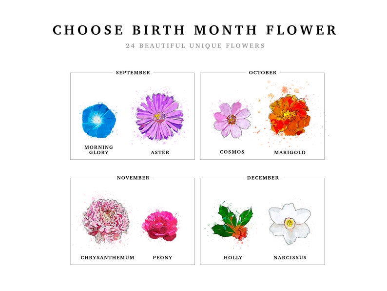 Birth month flower chart for the Grandmas Garden print, part three of three, covering September through December. September is morning glory and aster, October is cosmos and marigold, November is chrysanthemum and peony, December is holly and narcissus, each painted in watercolor. Pick the flower that matches each name's birth month for a personalized birth flower print.