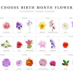 Grandmas Garden birth month flower chart showing 24 birth flowers by month: January snowdrop & carnation, February violet & iris, March daffodil & cherry blossom, April daisy & sweet pea, May lily of the valley & hawthorn, June rose & honeysuckle, July water lily & larkspur, August poppy & gladiolus, September morning glory & aster, October cosmos & marigold, November chrysanthemum & peony, December holly & narcissus. Choose flowers for a personalized grandma birth flower print.