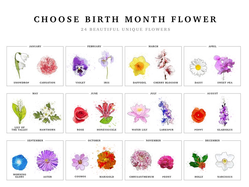 Grandmas Garden birth month flower chart showing 24 birth flowers by month: January snowdrop & carnation, February violet & iris, March daffodil & cherry blossom, April daisy & sweet pea, May lily of the valley & hawthorn, June rose & honeysuckle, July water lily & larkspur, August poppy & gladiolus, September morning glory & aster, October cosmos & marigold, November chrysanthemum & peony, December holly & narcissus. Choose flowers for a personalized grandma birth flower print.