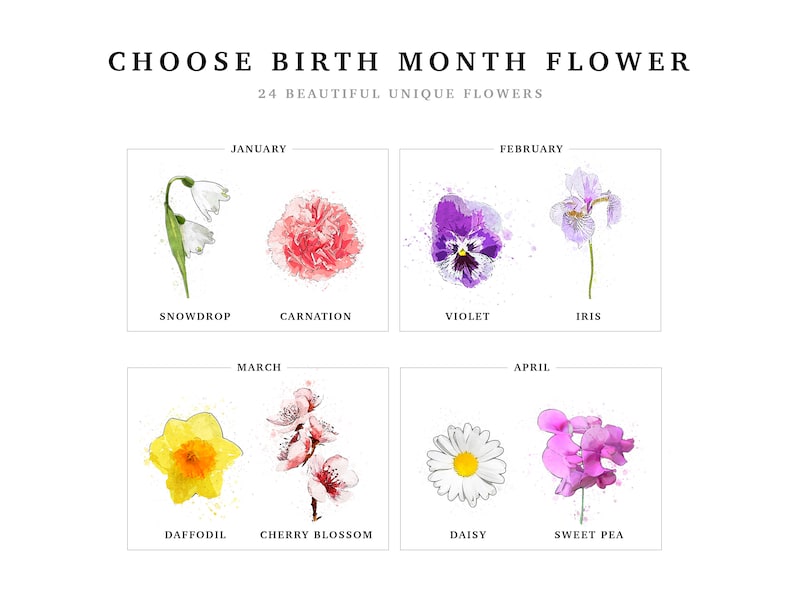 Birth month flower chart for the Grandmas Garden print, part one of three, covering January through April. January is snowdrop and carnation, February is violet and iris, March is daffodil and cherry blossom, April is daisy and sweet pea, each painted in watercolor. Pick the flower that matches each name's birth month for a personalized birth flower print.