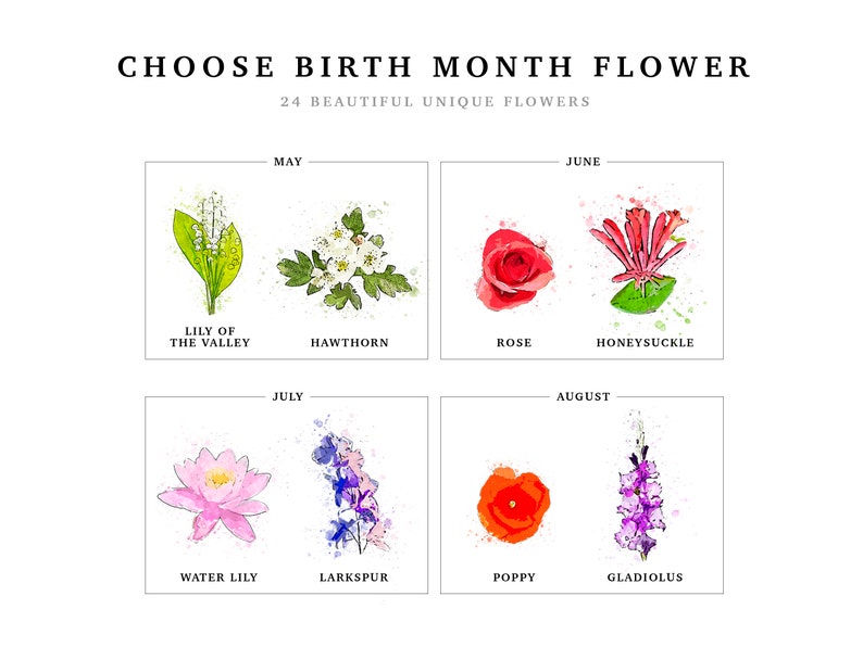 Birth month flower chart for the Grandmas Garden print, part two of three, covering May through August. May is lily of the valley and hawthorn, June is rose and honeysuckle, July is water lily and larkspur, August is poppy and gladiolus, each painted in watercolor. Pick the flower that matches each name's birth month for a personalized birth flower print.