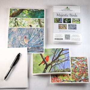 Cartões comemorativos em branco para todas as ocasiões com fotos de pássaros da Nova Inglaterra, caixa com 5 cartões variados, conjunto estacionário ou presente de escritório