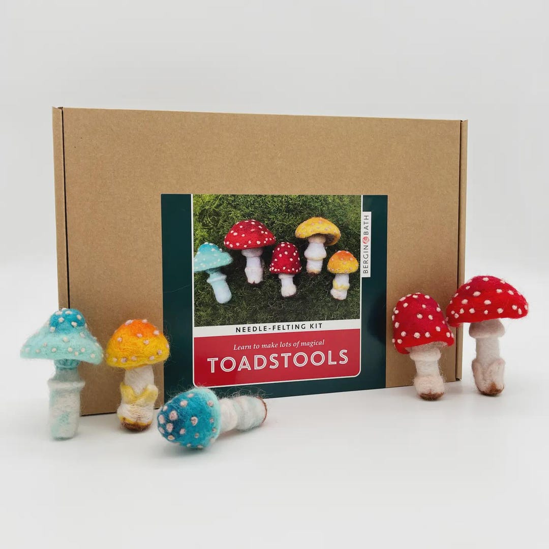 Toadstools Needle Felting Kit - Etsy
