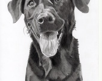 Customized Pet Portrait pencil drawing from your photo