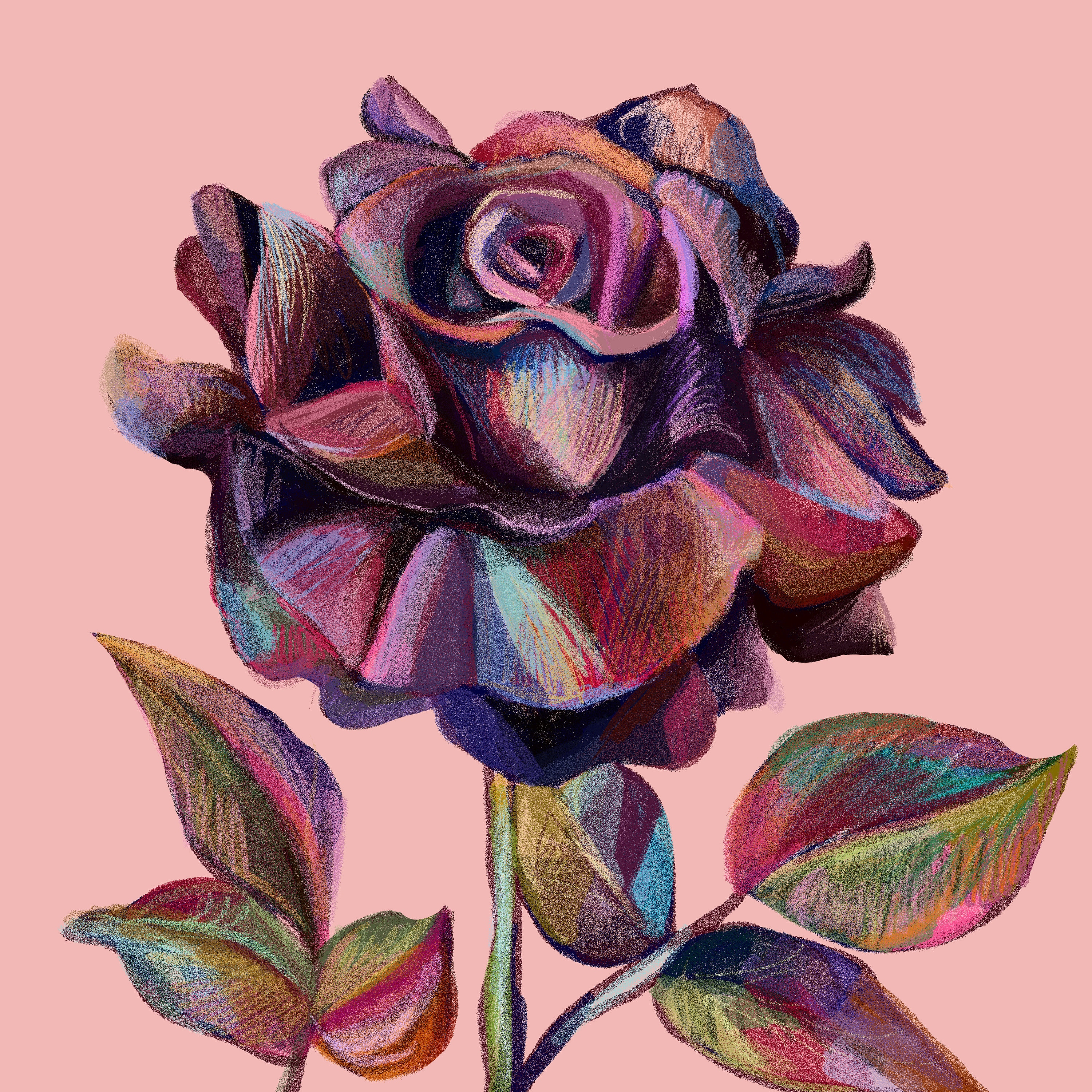 Beautiful Rose Art Print - Floral Home Deco - Etsy