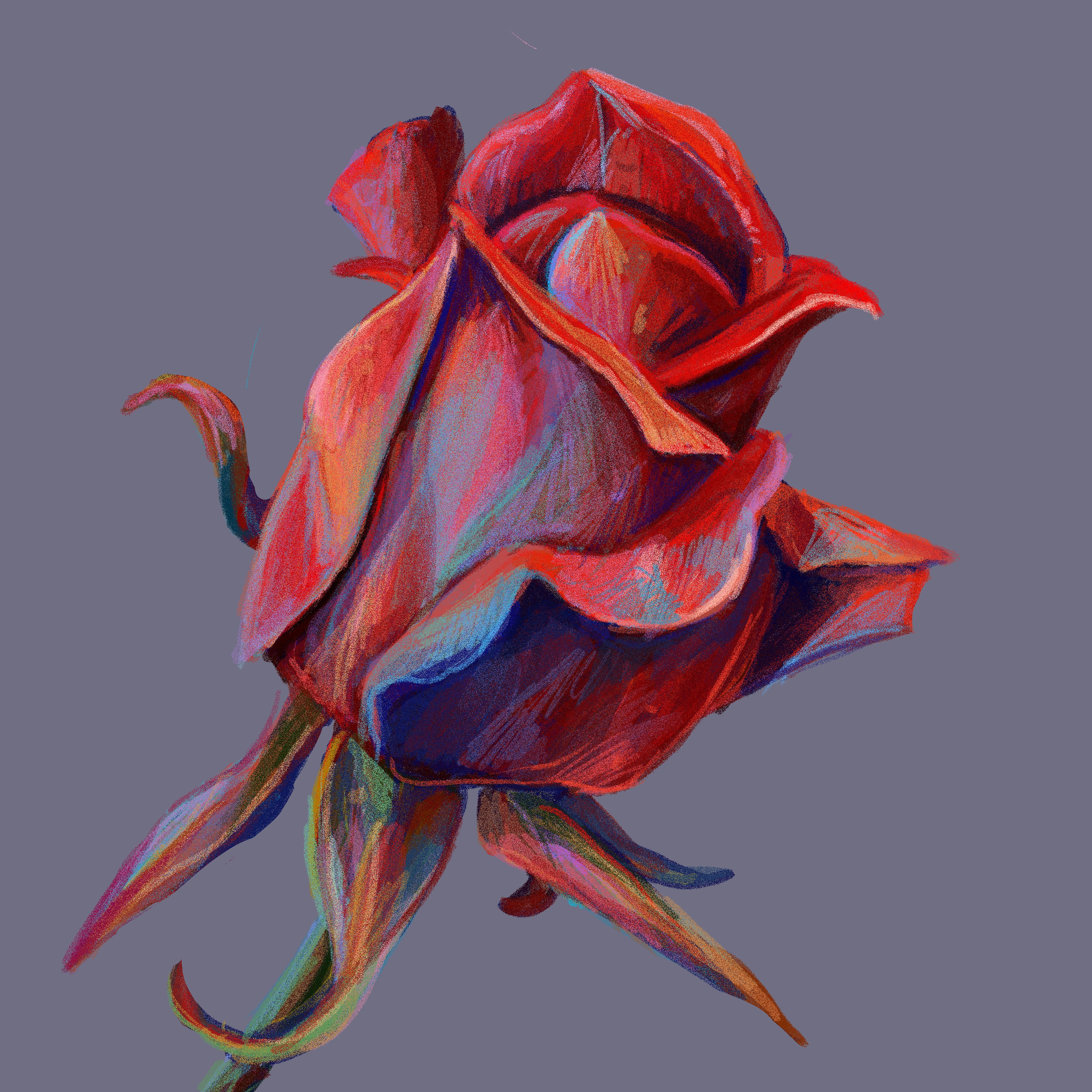 Beautiful Rose Art Print - Floral Home Deco - Etsy