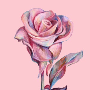May include: A single pink rose with a single leaf, painted in a watercolor style on a pink background.