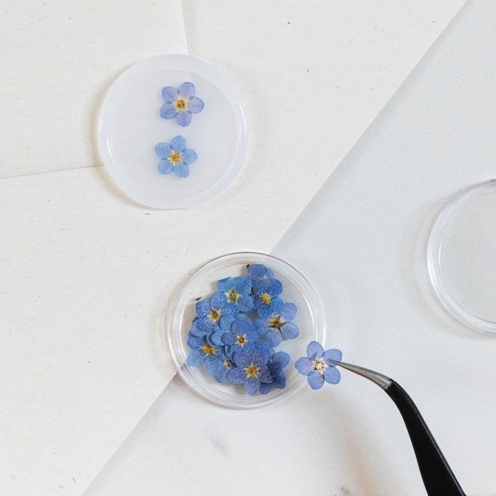 100 PCS Pressed Real Flower Resin Pendant Etsy