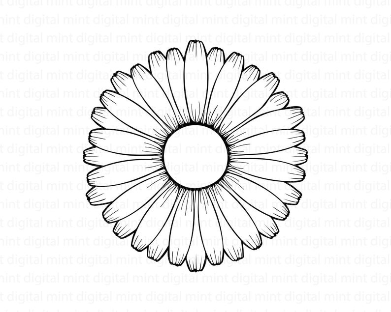 Daisy SVG Hand-drawn Daisy Flower Svg Clipart for Cricut | Etsy