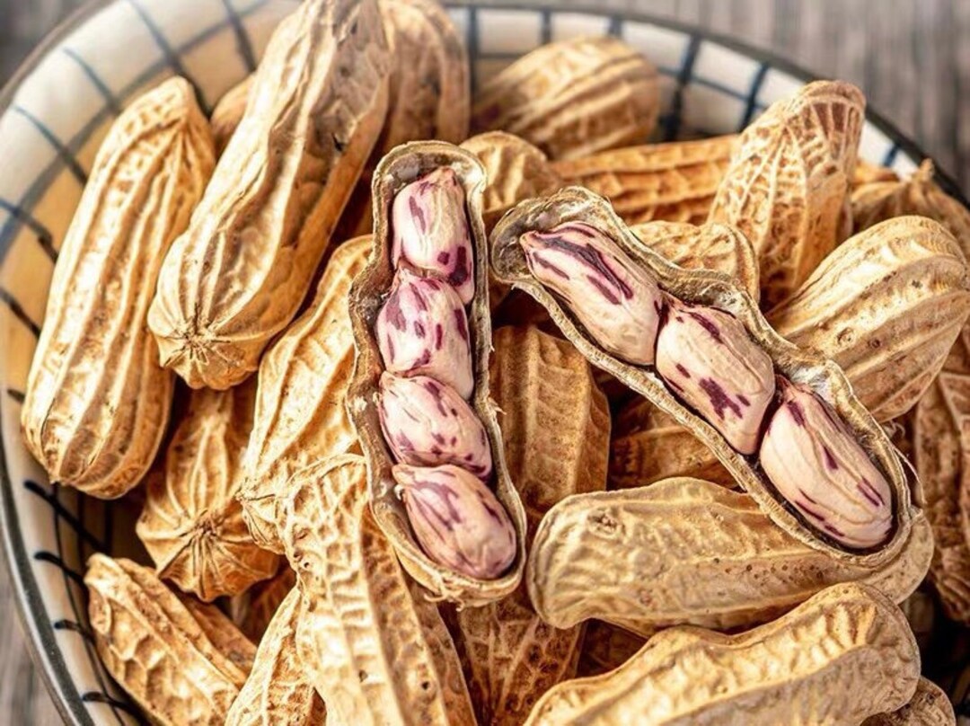 Wild Jungle Peanut Seeds for Planting 10/20/50/100 Etsy