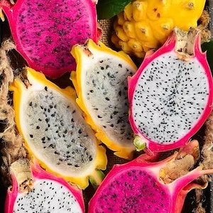 3 Combo Dragon fruit cuttings