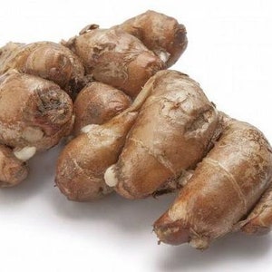 Kaempferia galanga aromatic ginger/ sand ginger沙姜 Sprouted rhizome for planting