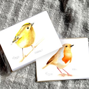 Set of 8 English Bird Cards with Envelopes