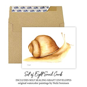 Ensemble de 8 cartes d’escargot