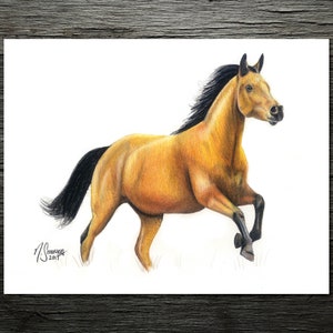 Digital Download of Horse Drawing