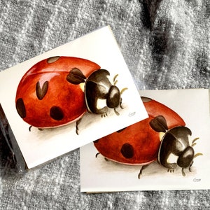 Ensemble de 8 cartes Lady Bug