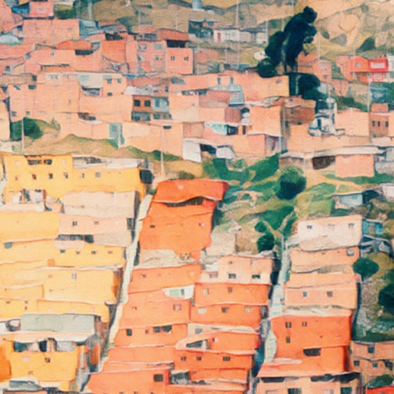 Details of the houses in Bogota poster by Alecse