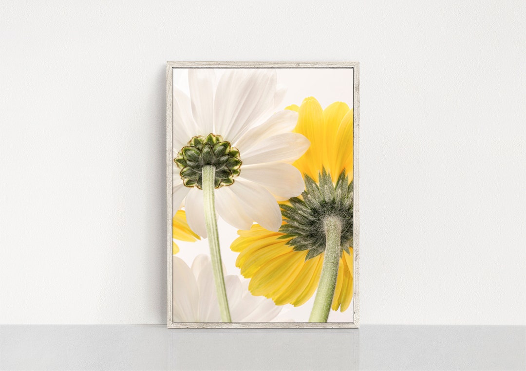 High Resolution Printable Art Digital Download Wall Art of Yellow and ...
