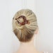 small, brown tortoise | The Best Hair Clip 