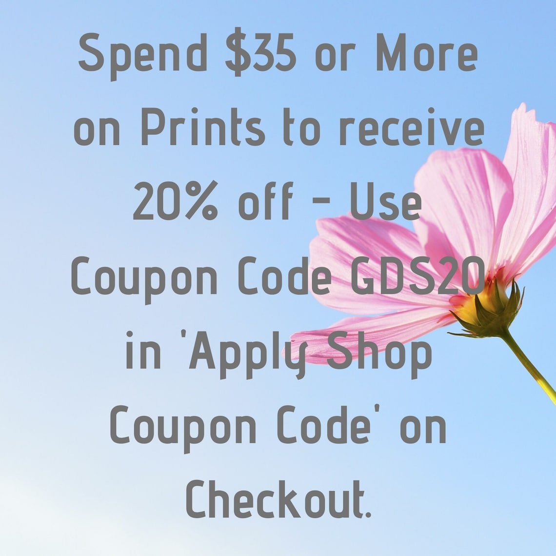 Pelican Wall Art Pelican Printable Art Pelican Print Etsy Australia