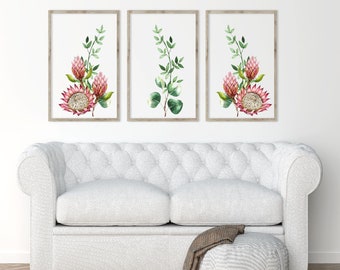 Protea wall art, Floral Wall Art, Set of 3 protea prints, digital download