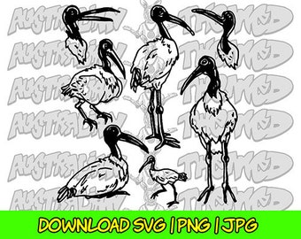 Bin Chicken SVG, ibis svg, bin chicken clipart, bin chicken line art, bin chicken silhouette, ibis png, ibis jpg, ibis download, ibis png