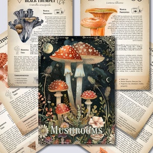 May include: A vintage style illustration of various mushrooms with a dark blue background and stars. The text "Mushrooms" is written in a decorative font at the bottom of the image.