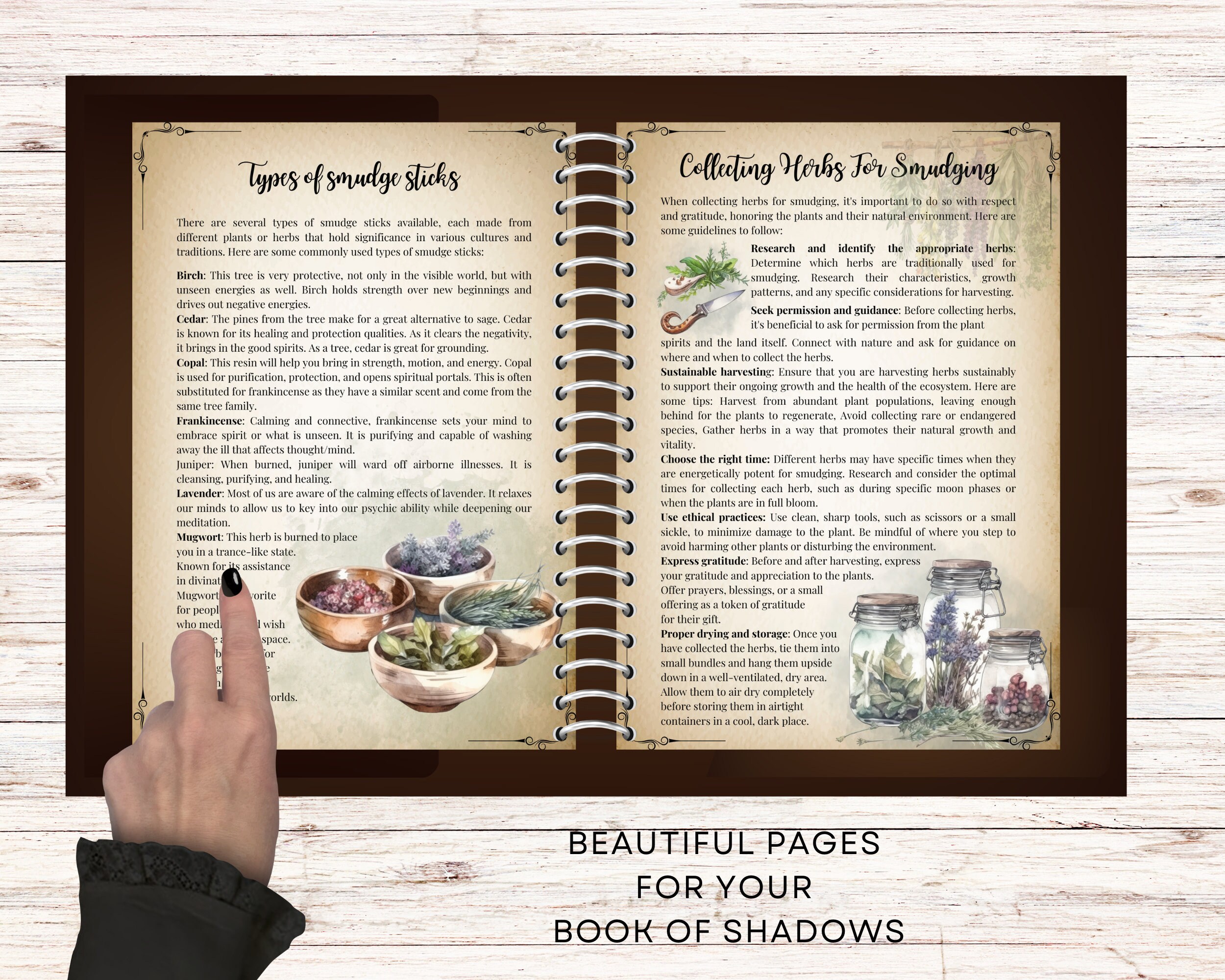 Smudging Guide for Beginners: Book of Shadows Pages (digital Download ...