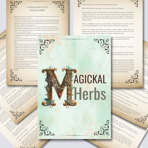 87 Pages, Herbs and Their Magical Properties List, Herbal Magick, Herbalism, Witchcraft Basics, Printable Herbs Pages, Book Of Shadows