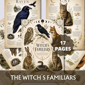 May include: A collection of 17 pages titled The Witch's Familiars, featuring anatomical plates and folklore studies. The pages display illustrations of a raven, cat, owl, fox, rabbit, and snake, accompanied by detailed text and botanical elements.