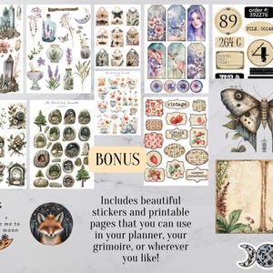May include: A collection of stickers and printable pages with a botanical and vintage theme. Includes illustrations of crystals, butterflies, flowers, and labels. Text includes "BONUS", "vintage", and "take me to the moon".
