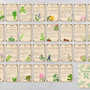 31 Pages Herbal Magic Printable Grimoire Pages - Enchanting Herbs ...