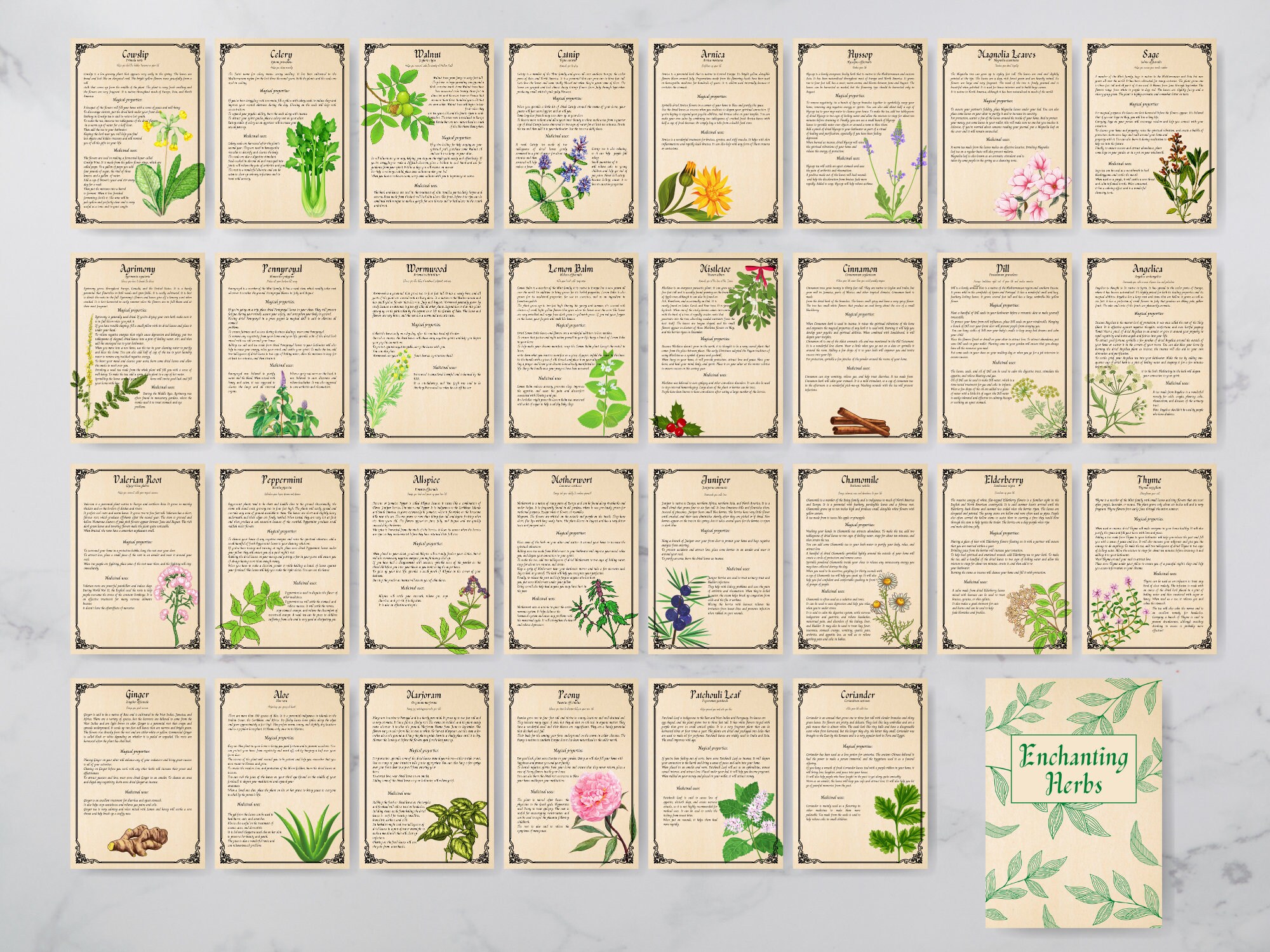 31 Pages Herbal Magic Printable Grimoire Pages Enchanting - Etsy