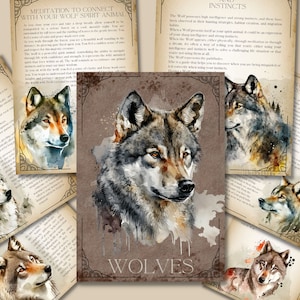 May include: A collection of watercolor art prints and informational cards featuring wolf illustrations. The central image displays a detailed portrait of a wolf with the word "WOLVES" beneath. Surrounding cards contain text about wolf symbolism and spirituality.