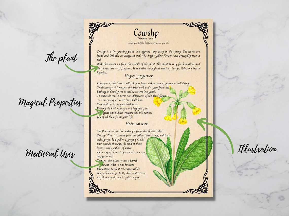 31 Pages Herbal Magic Printable Grimoire Pages Enchanting - Etsy