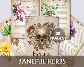 Baneful Herb Guide | Poisonous Plants for Witchcraft, Dark Herbal Magick, Hexing, Cursing, Occult Herbs, Correspondences - Printable Pages