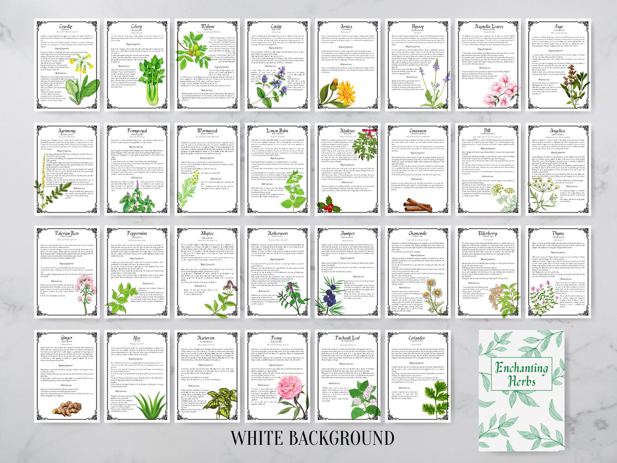31 Pages Herbal Magic Printable Grimoire Pages Enchanting - Etsy