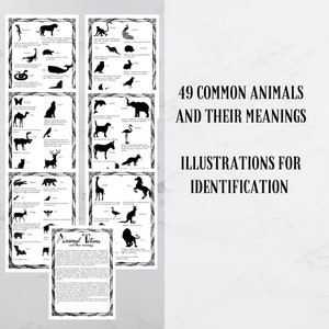 May include: A collection of black and white illustrations of animals with their meanings. The text reads "49 Common Animals and Their Meanings Illustrations for Identification". Each illustration is framed with a decorative border.
