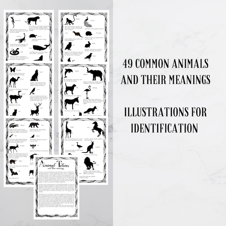 May include: A collection of black and white illustrations of animals with their meanings. The text reads "49 Common Animals and Their Meanings Illustrations for Identification". Each illustration is framed with a decorative border.