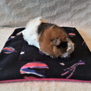 Guinea Pig Fleece Pee Pad: Space Print Absorbent Small Animal Mat
