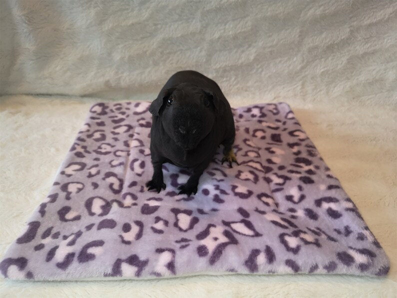 Guinea Pig Absorbent Pee Pad Hedgehog Lap Pad Absorbent Fleece Etsy