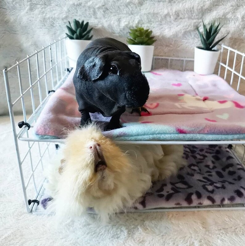 Guinea Pig Absorbent Pee Pad Hedgehog Lap Pad Absorbent Fleece Etsy