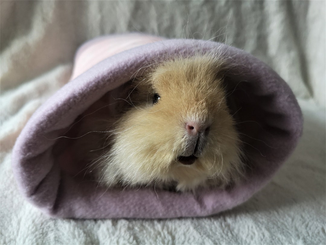 Guinea Pig Snuggle Tunnel Hedgehog Tube Rat Sleeping Pipe Fleece Cuddle