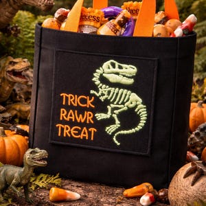 Glow In The Dark Dinosaur Skeleton Patch/Iron On Patch/Halloween Trick Rawr Treat Bag/Kids Dino Patches/Sew-On Applique for Costume Clothing