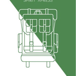 Parche de búfalo, parche con nombre, parche termoadhesivo personalizado, regalos para exteriores, insignia de animal salvaje, aplique bordado para coser en ropa, chalecos, sombreros y mochilas. imagen 11